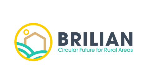 BRILIAN logo