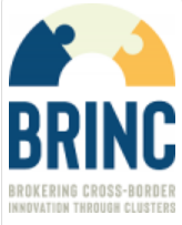 Interlocking puzzle pieces with the BRINC logo below them
