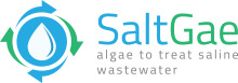 SaltGae logo