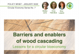 Barriers and enablers of wood cascading – Lessons for a circular bioeconomy