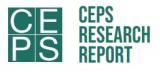 CEPS Research Report