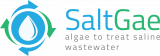 saltgae project logo
