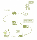 Forest Based Industries European Circular Economy Stakeholder