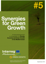 Synergies for Green Growth