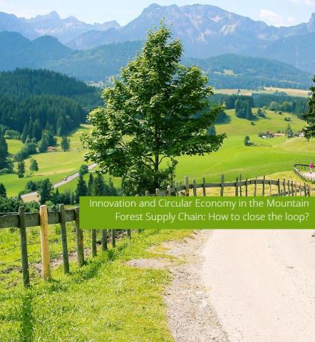 Mountain Forest Supply Chain