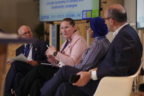 Panel at our COP28 side event