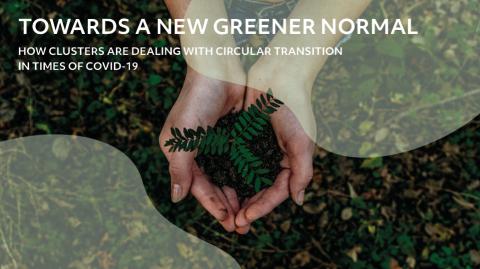 Cluster Excellence Denmark