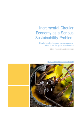 Incremental Circular Economy as a Serious Sustainability Problem
