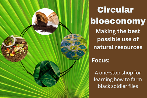 "Circular bioeconomy – making the best possible use of natural resources. Focus: a one-stop shop for learning how to farm black soldier flies". Images of coffee grounds, food waste, banana leaves and sewage ponds.