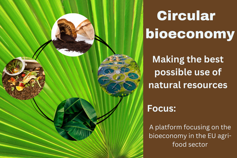 Image on the merits of the circular bioeconomy