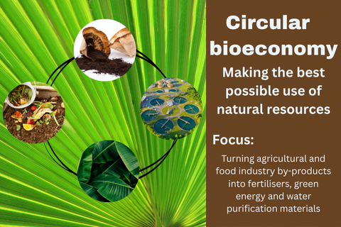 "Circular bioeconomy – making the best possible use of natural resources. Focus: Turning agricultural and food industry by-products into fertilisers, green energy and water purification materials". Images of coffee grounds, food waste, banana leaves and sewage ponds.