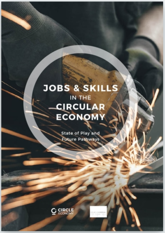 Jobs and Skills in the Circular Economy
