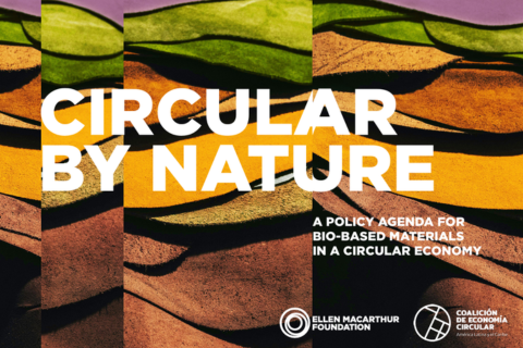 Circular by nature: a policy agenda for bio-based materials in a circular economy