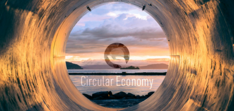 Circular Economy and Resource Efficiency