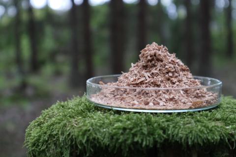 A push for EU Bioeconomy