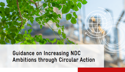 Green leaves with text on event title and organiser