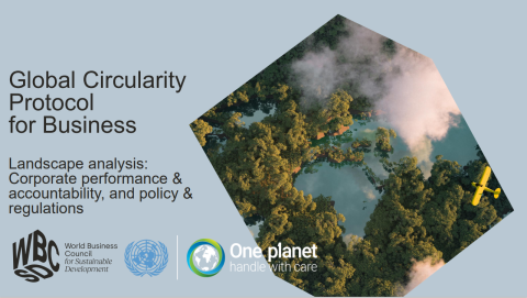 Front page of the Landscape analysis with image of a yellow airplane flying over trees and water