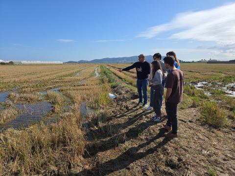 Five people in casual clothing looking at a partially flooded field with rice straw left after harvesting. In the background is a greenhouse and further back are mountains. 