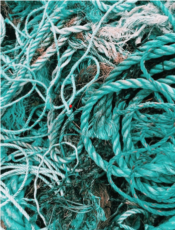 Gravity Wave tangled plastic