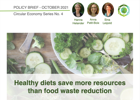 Healthy diets save more resources than food waste reduction