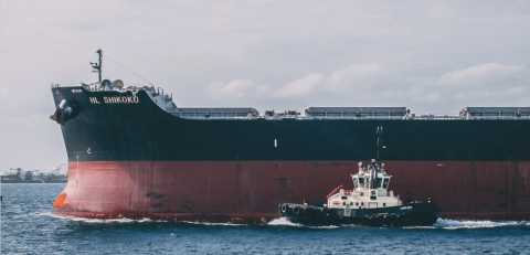 Impacts and Opportunities for Developing Economies