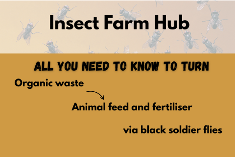 "Insect Farm Hub – all you need to know to turn organic waste into animal feed and fertiliser via black soldier flies"