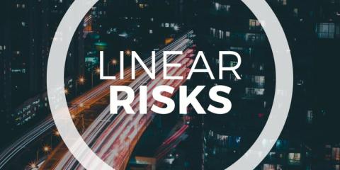 linear risk report logo