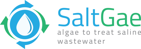 SaltGae logo