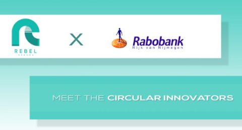circular innovators logo