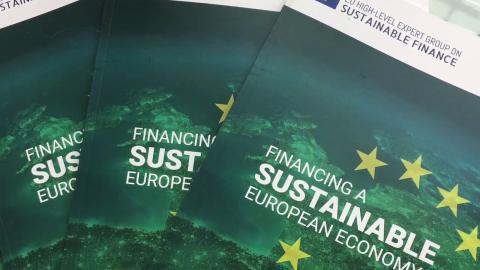 Technical expert group on sustainable finance