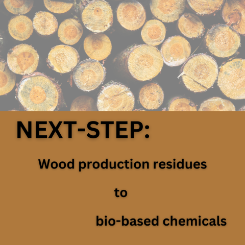 NEXT-STEP: wood production residences to bio-based chemicals