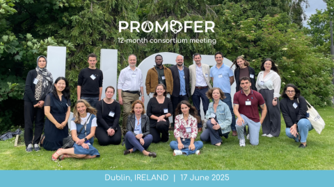 Photo of people sitting and standing on grass in front of some trees and the text: PROMOFER 12-month consortium meeting Dublin, Ireland 17 June 2025