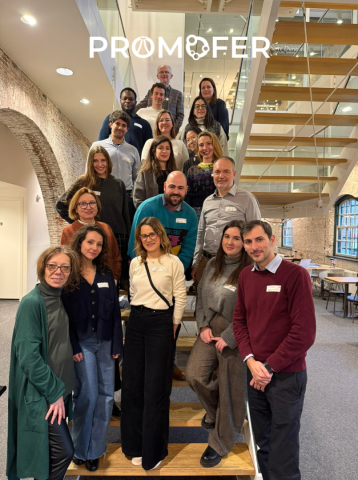  A group of people assembled on the stairs, within the logo PROMOFER at the top of the photo