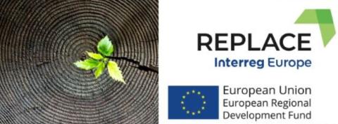 REPLACE Final Conference