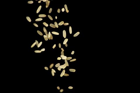 Rice grains