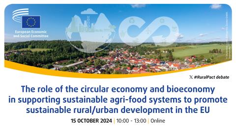 Picture of a rural town with the text #RuralPact debate, the title of the webinar, the time and date, and online