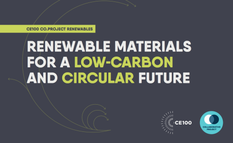 Renewable Materials for a Low-Carbon and Circular Future