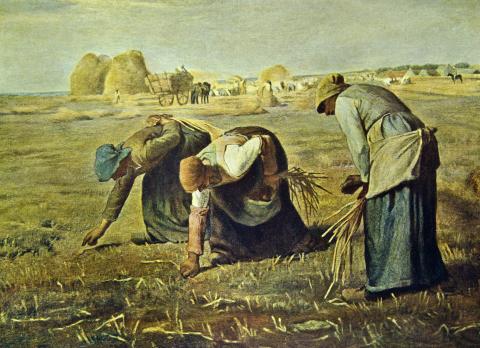 Gleaners_Shutterstock