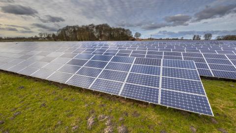 A field of solar panels