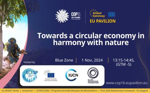 Towards a circular economy in harmony with nature visual