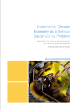 Incremental Circular Economy as a Serious Sustainability Problem