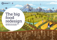 Green and yellow landscape with trees, mountains, birds and with the title of the report "The big food redesign: Regenerating nature with the circular economy"