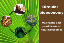 "Circular bioeconomy – making the best possible use of natural resources". Images of coffee grounds, food waste, banana leaves and sewage ponds.