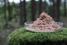 A push for EU Bioeconomy