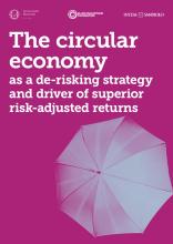 The circular economy as a de-risking strategy and driver of superior risk-adjusted returns