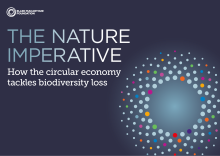 The Nature Imperative: How the circular economy tackles biodiversity loss