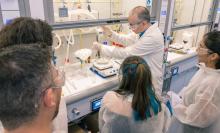 The D-CARBONIZE project is kicking off with the recruitment of 12 doctoral candidates with an innovative approach to using biomass to produce bioplastics