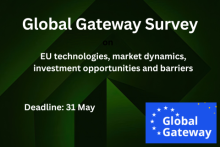 Global Gateway Survey, EU technologies, market dynamics, investment opportunities and barriers. Deadline: 31 May. Global Gateway logo