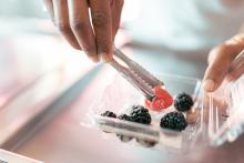 A plastic container with raspberries, with a hand holding an implement to pick up a berry