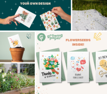 Examples of Growingpaper products, with paper in a plant pot and flowers 